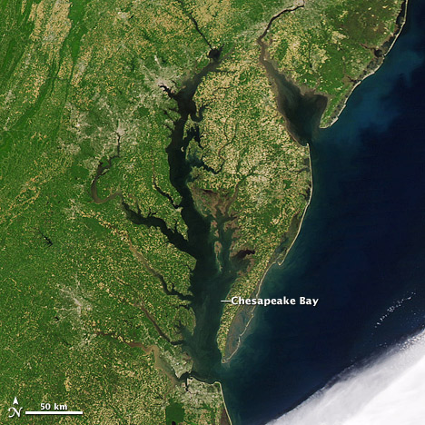  Satellite image of the Chesapeake Bay. (NASA image courtesy MODIS Rapid Response Team.)