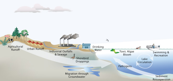 Water contamination stems from a variety of land-based sources. Image courtesy NOAA Center of Excellence for Great Lakes and Human Health.