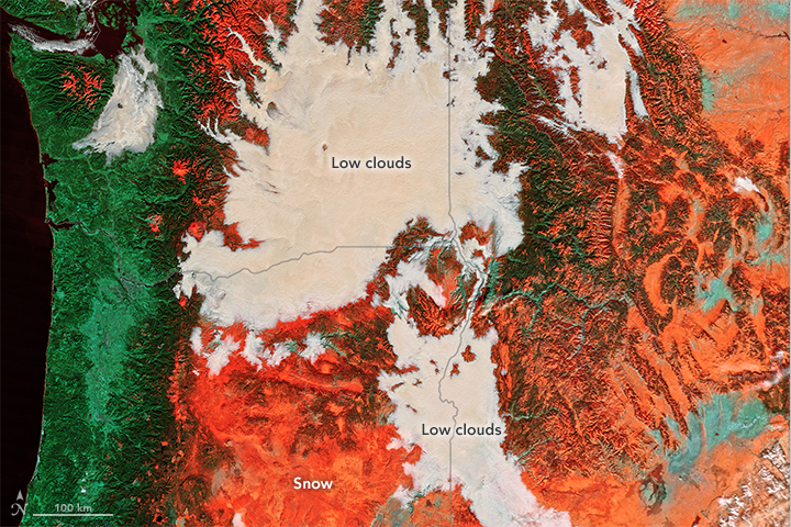 britishcolumbia_tmo_2015333_falsecolor