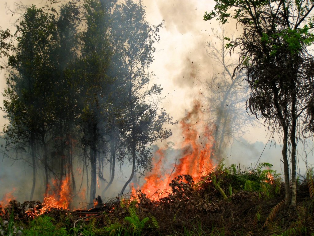 Severe 2015 Indonesian Fire Season Linked To El Niño Drought | Terra